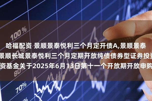 哈福配资 景顺景泰悦利三个月定开债A,景顺景泰悦利三个月定开债C: 景顺长城景泰悦利三个月定期开放纯债债券型证券投资基金关于2025年6月13日第十一个开放期开放申购、赎回及转换业务的公告
