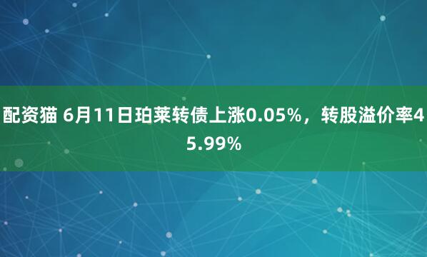 配资猫 6月11日珀莱转债上涨0.05%，转股溢价率45.99%