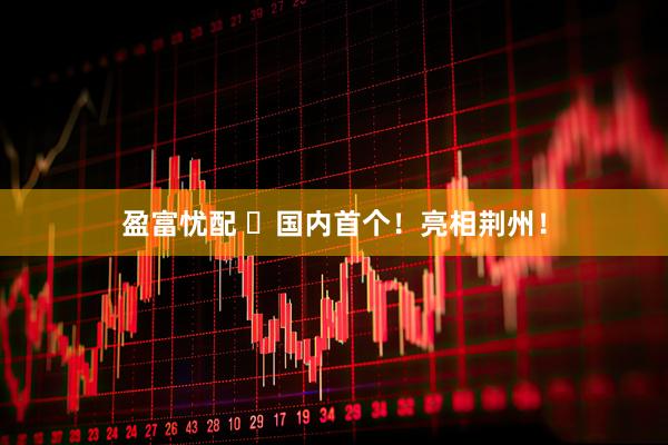 盈富忧配 ​国内首个！亮相荆州！