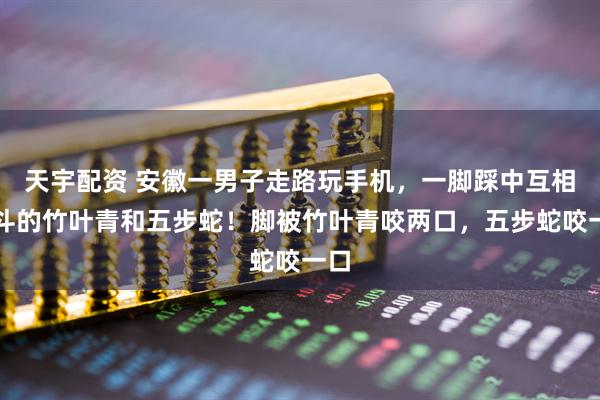 天宇配资 安徽一男子走路玩手机，一脚踩中互相打斗的竹叶青和五步蛇！脚被竹叶青咬两口，五步蛇咬一口
