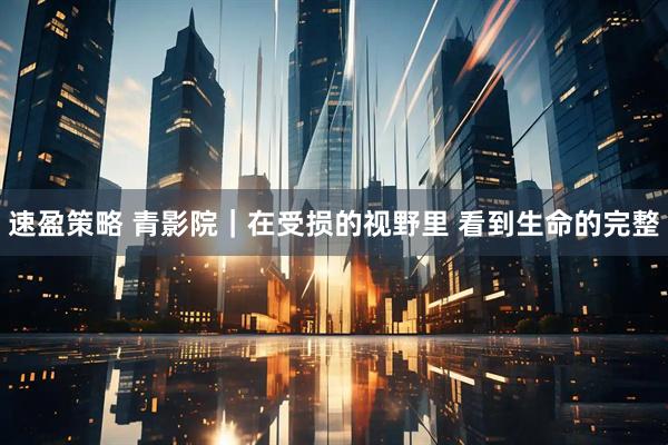 速盈策略 青影院｜在受损的视野里 看到生命的完整