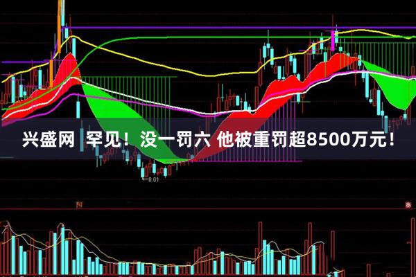 兴盛网  罕见！没一罚六 他被重罚超8500万元！