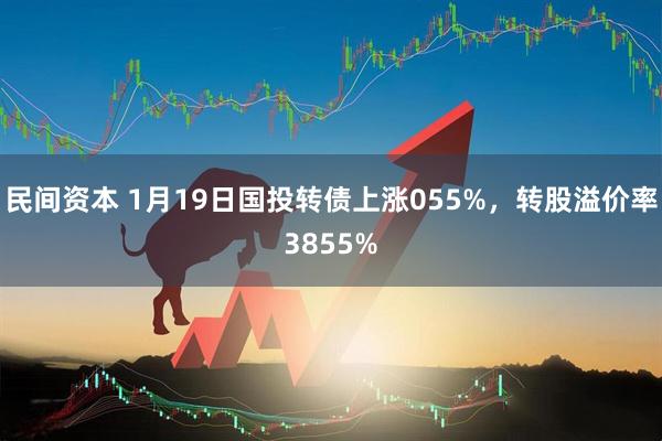 民间资本 1月19日国投转债上涨055%，转股溢价率3855%
