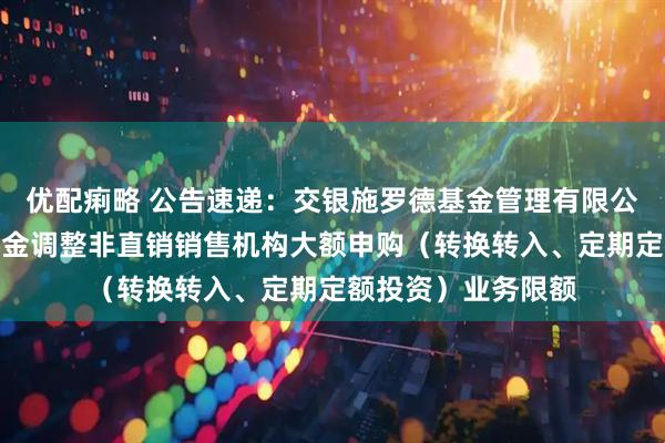 优配痢略 公告速递:交银施罗德基金管理有限公司关于交银货币基金调整非直销销售机构大额申购(转换转入、定期定额投资)业务限额
