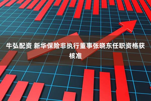 牛弘配资 新华保险非执行董事张晓东任职资格获核准